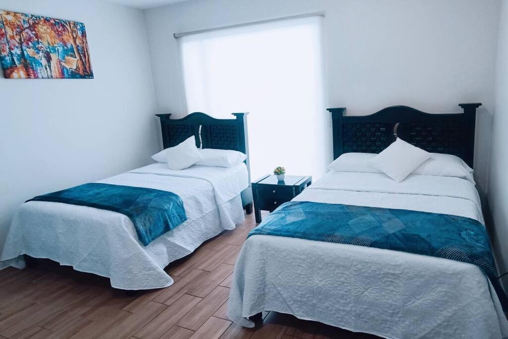 Secure, Central And Quiet Apartment Work Or Travel Meksika Dış mekan fotoğraf